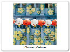 Ozone -Before