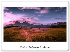 Color Infrared -After