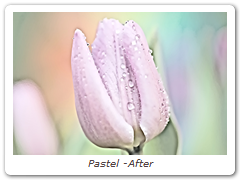 Pastel -After