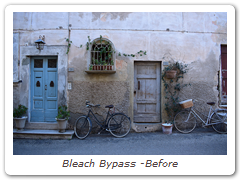 Bleach Bypass -Before