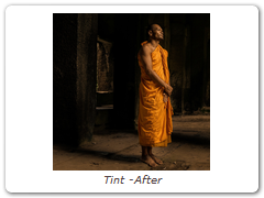 Tint -After