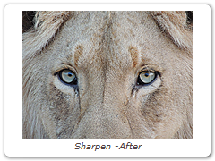 Sharpen -After